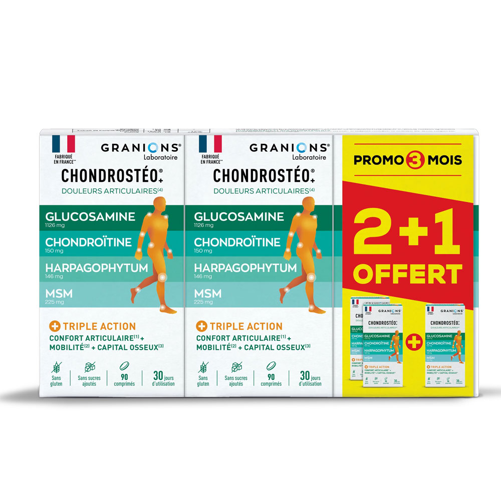 Granions Chondrostéo Joints 3x90 Tablets