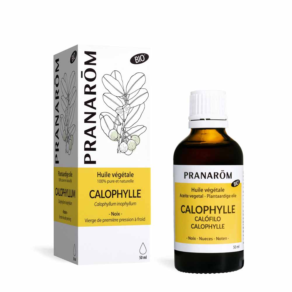 Pranarôm Plant oils Organic Calophylla Plant Oil 50 ml