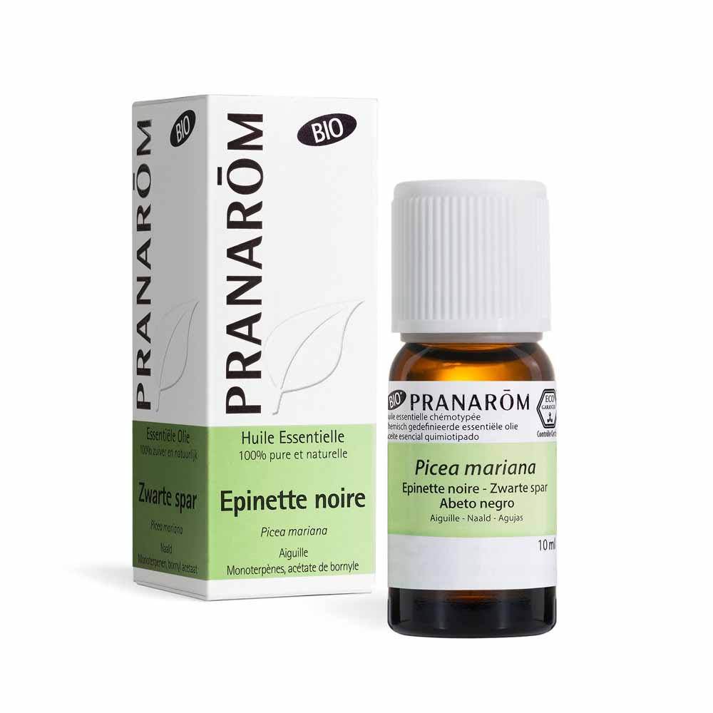 Pranarôm Essential oils Black Spruce Organic Essential Oil 10ml