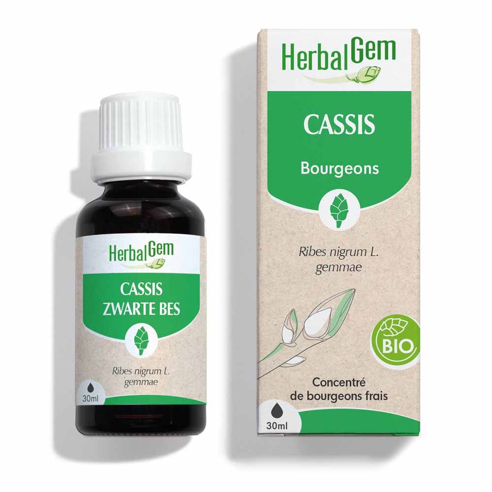 Herbalgem Blackcurrant Bioes 30ml