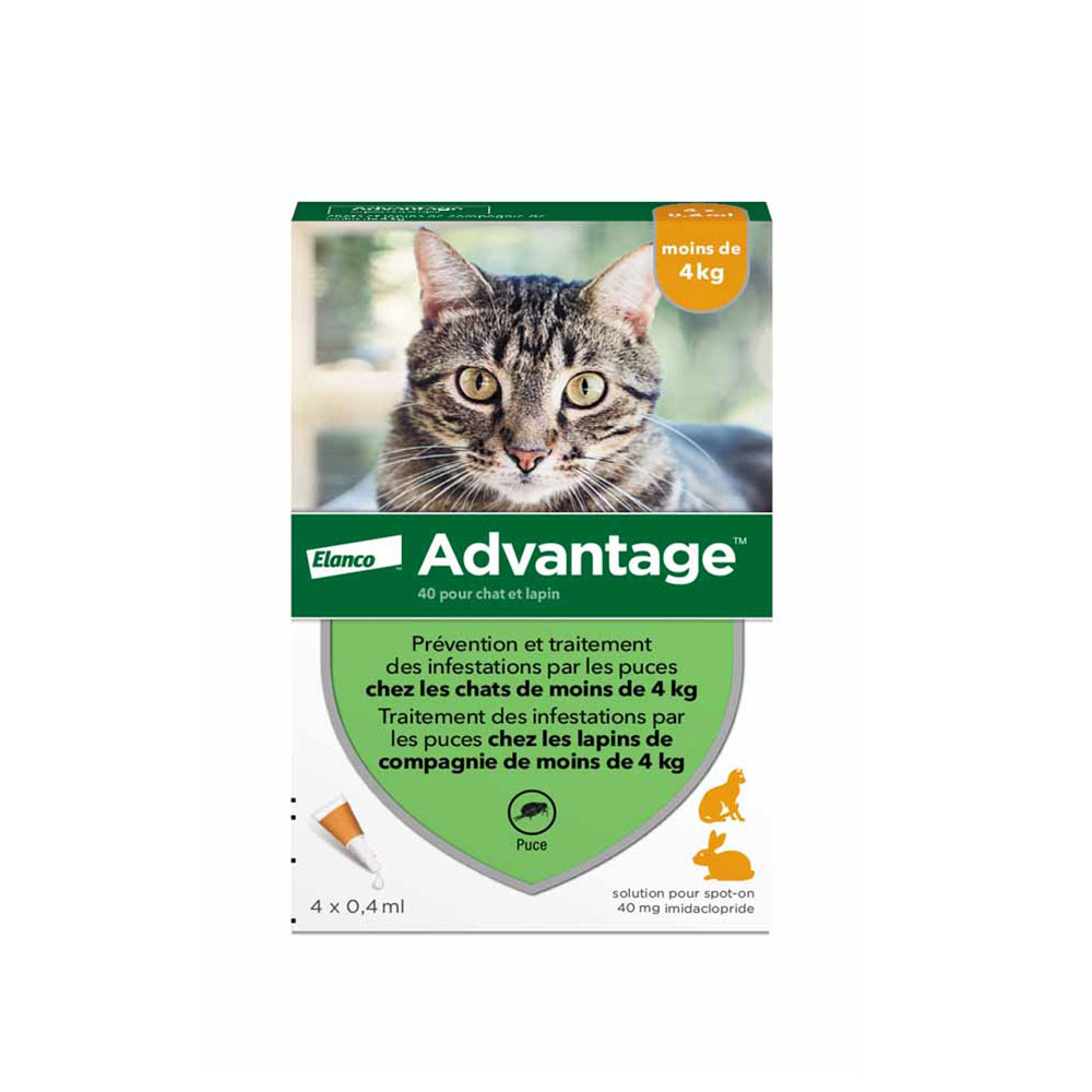 Advantage Solution Spot-on For Cats Under 4 kg