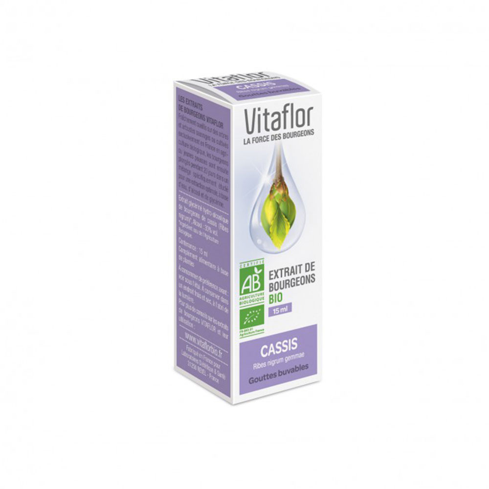 Vitaflor Blackcurrant Bud Extract Bioes 15ml