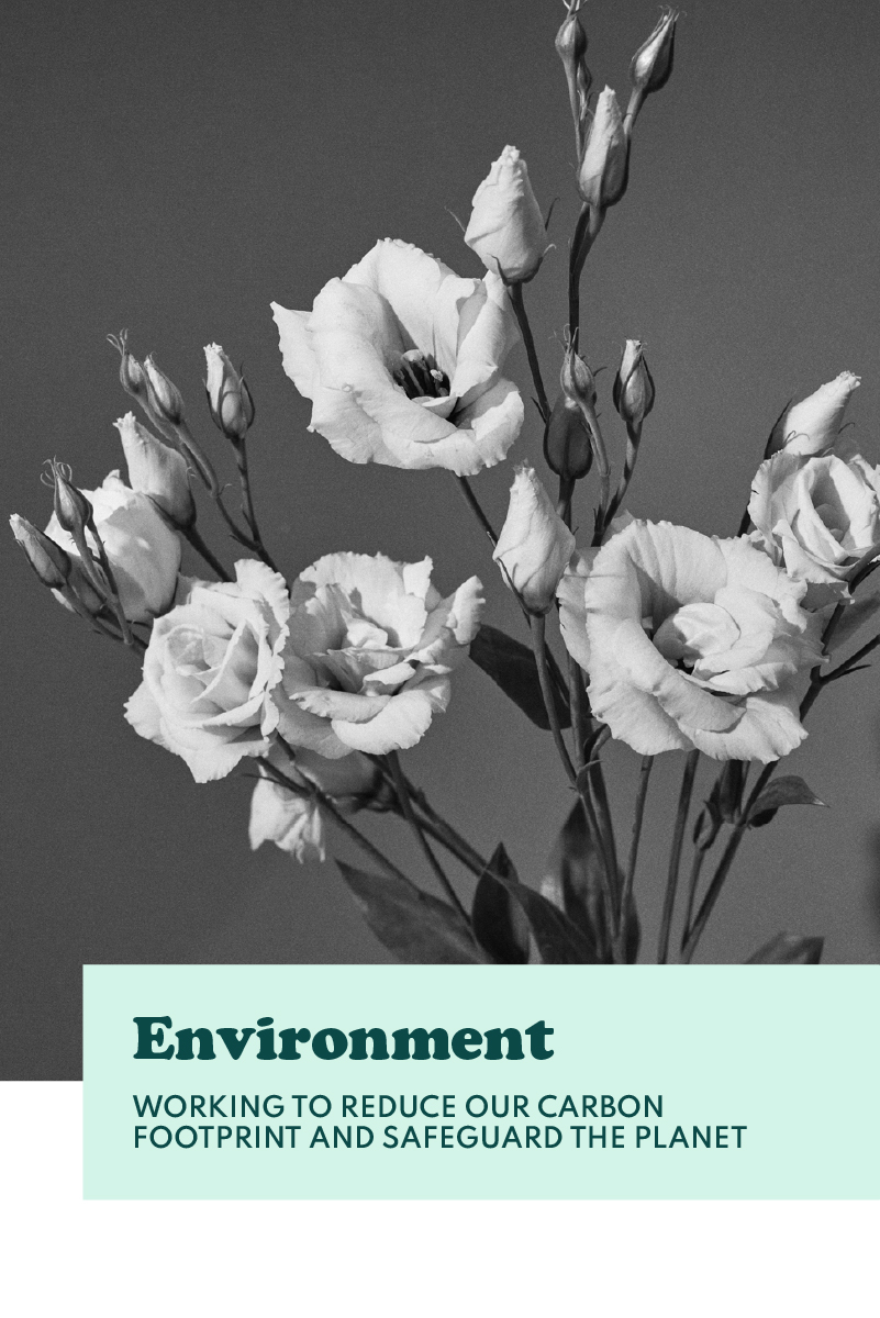 environnement